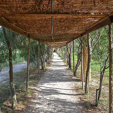 Akiris Trilo Nova Siri Marina