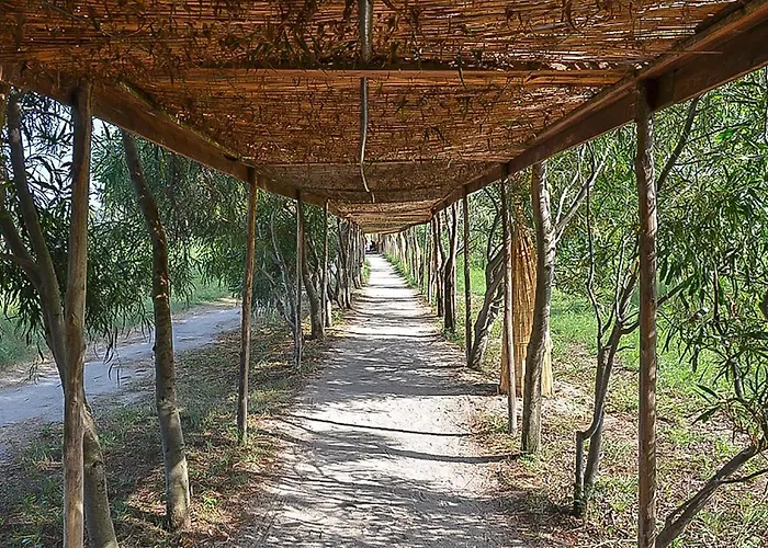 Akiris Trilo Nova Siri Marina